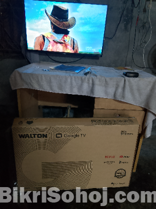 Walton voice control google tv